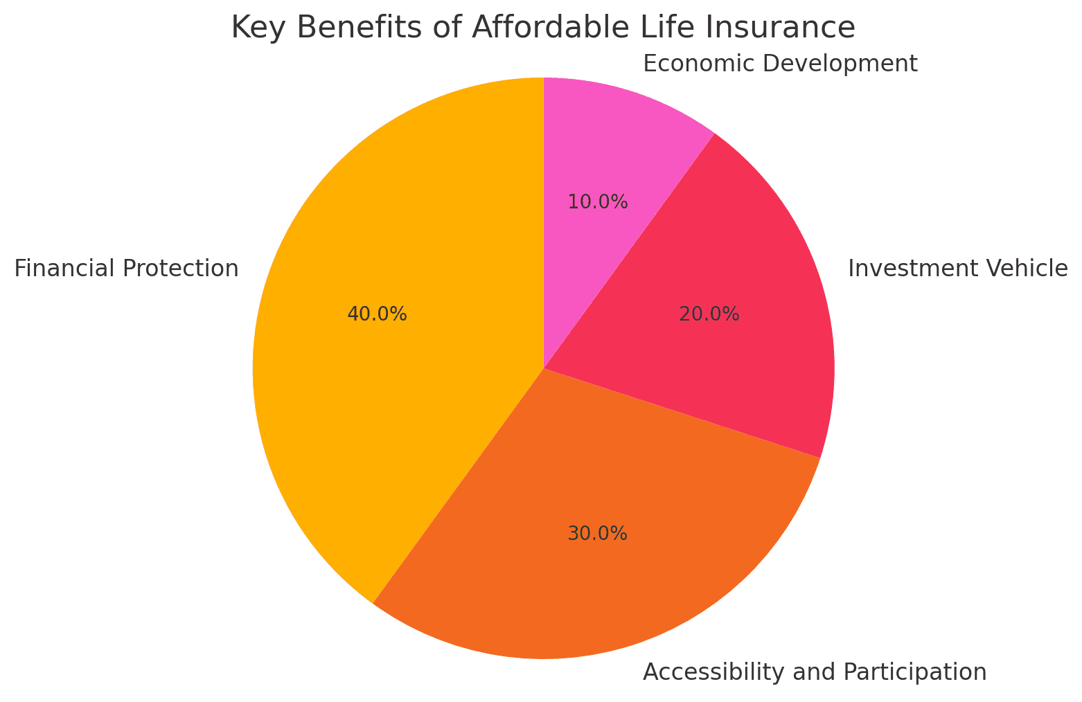 This pie chart illustrates the key benefits of affordable life insurance, highlighting the most significant advantage as financial protection at 40%. It further shows that accessibility and participation account for 30%, investment vehicle for 20%, and economic development for 10%. This visual representation clearly communicates the proportional importance of each benefit.